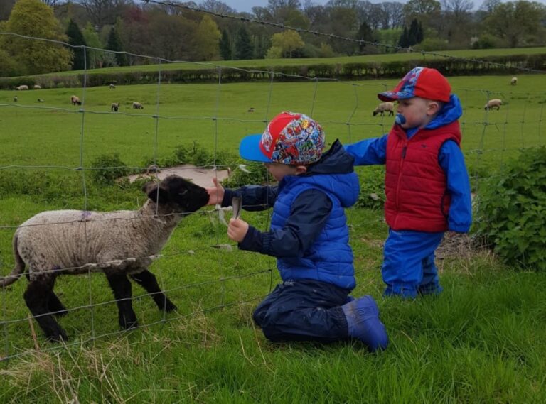 Kids with sheep and Lambs worcestershire airbnb